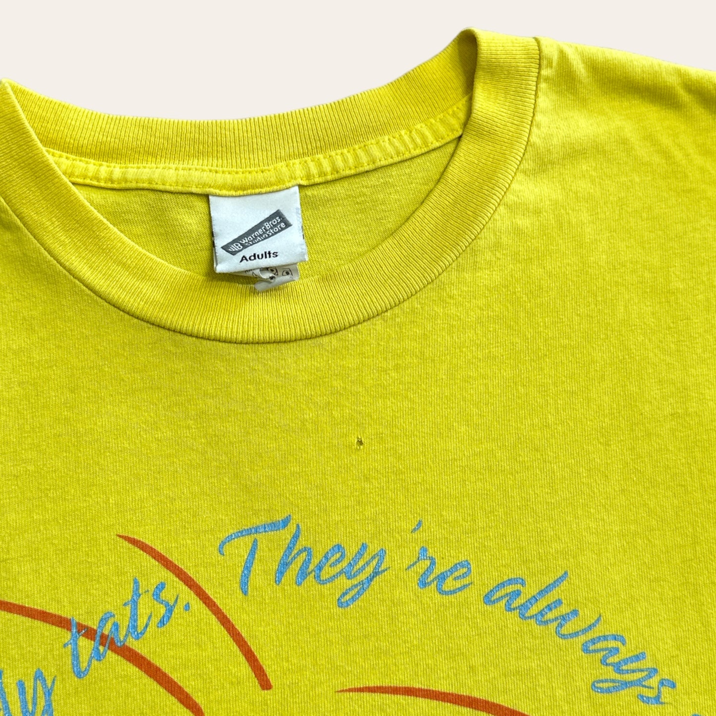1998 Tweety Bird Tee Size XXL