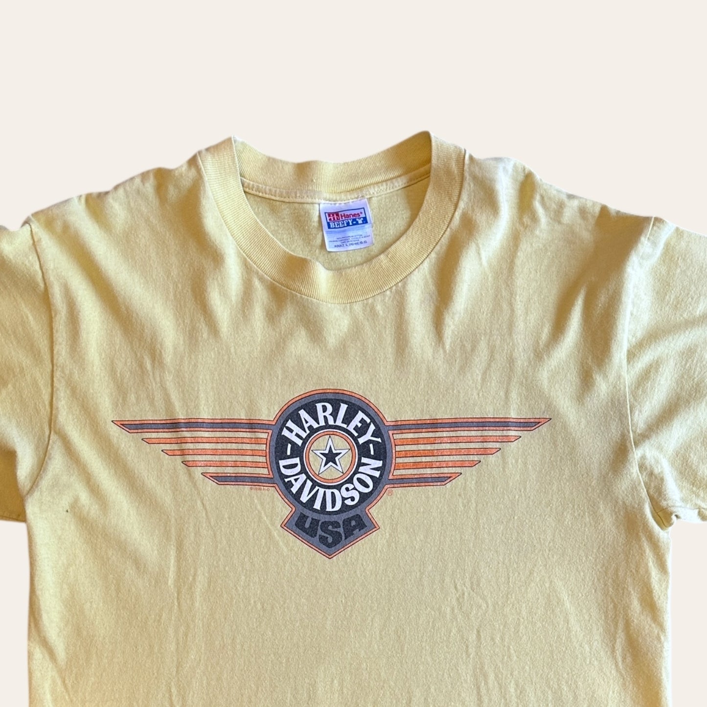 1999 Harley Davidson Gerenville Tee Size L