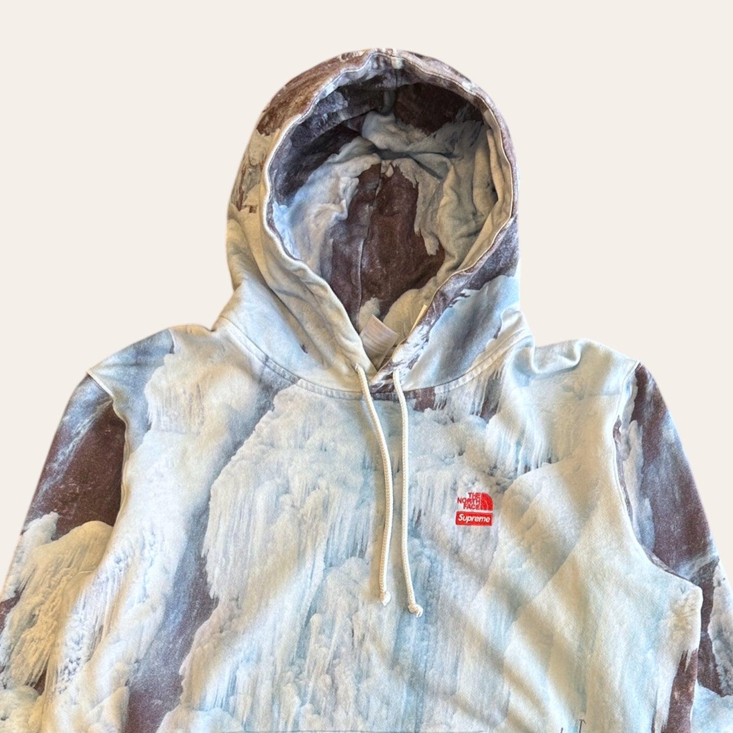 Supreme x North Face Hoodie Size L