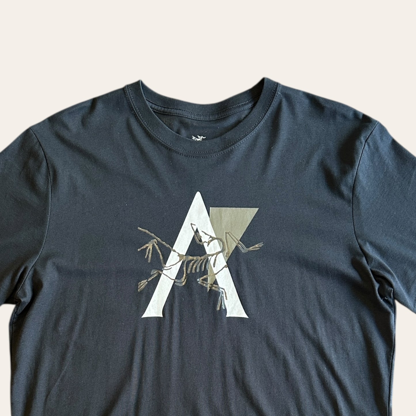 Arcteryx Dead Bird Arch Tee Size L
