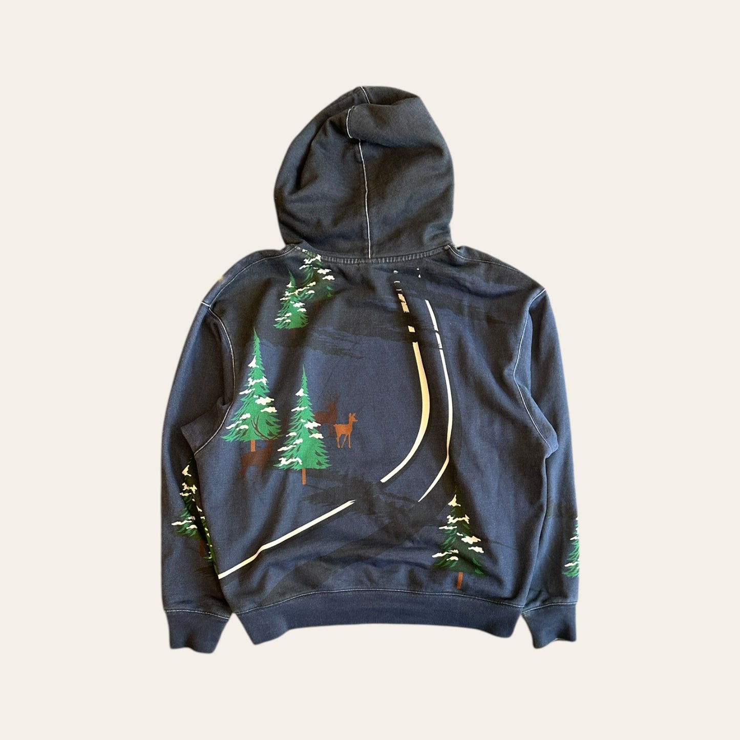 Kith Skiing Hoodie Size L
