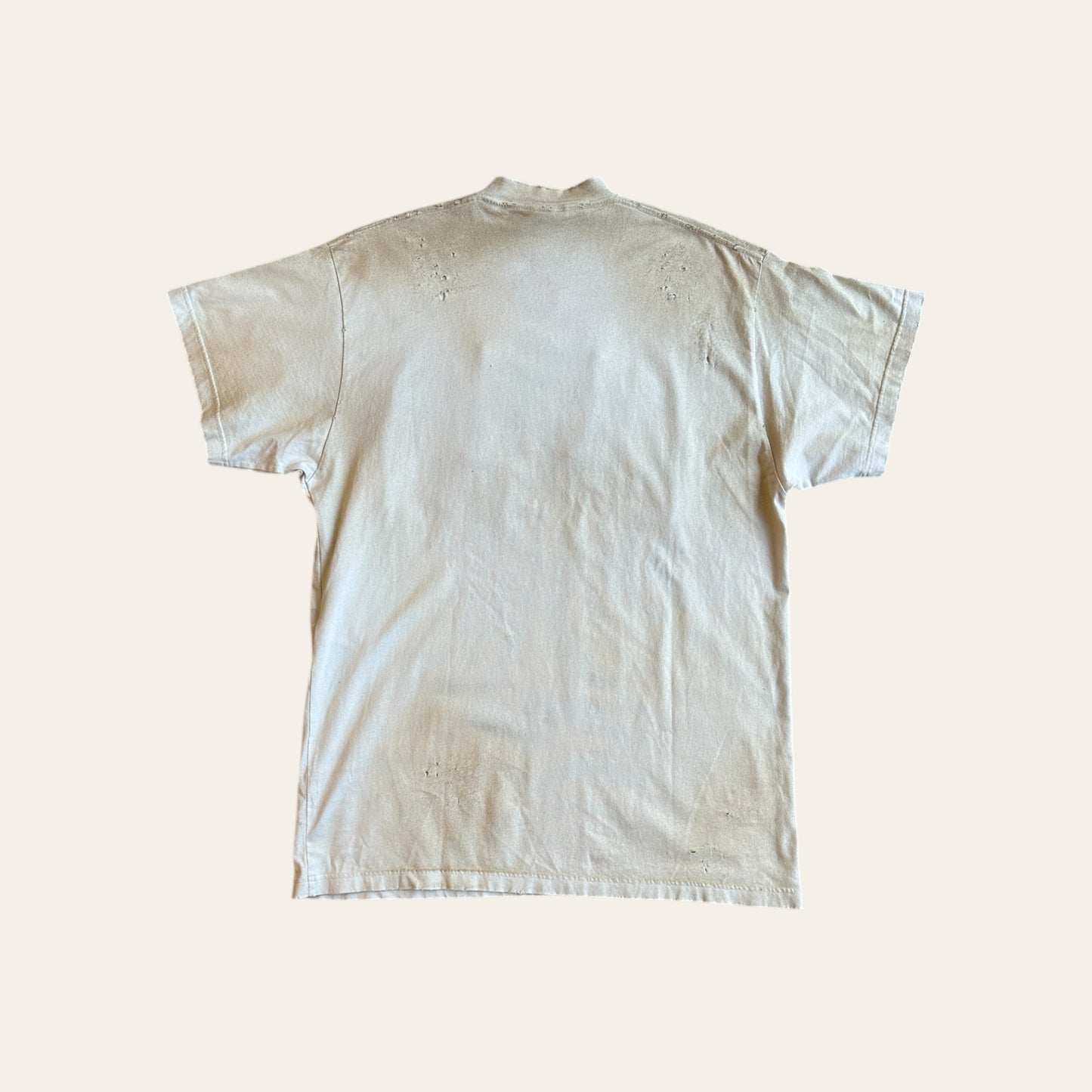 Brand New Balenciaga Skater Tee Size XL