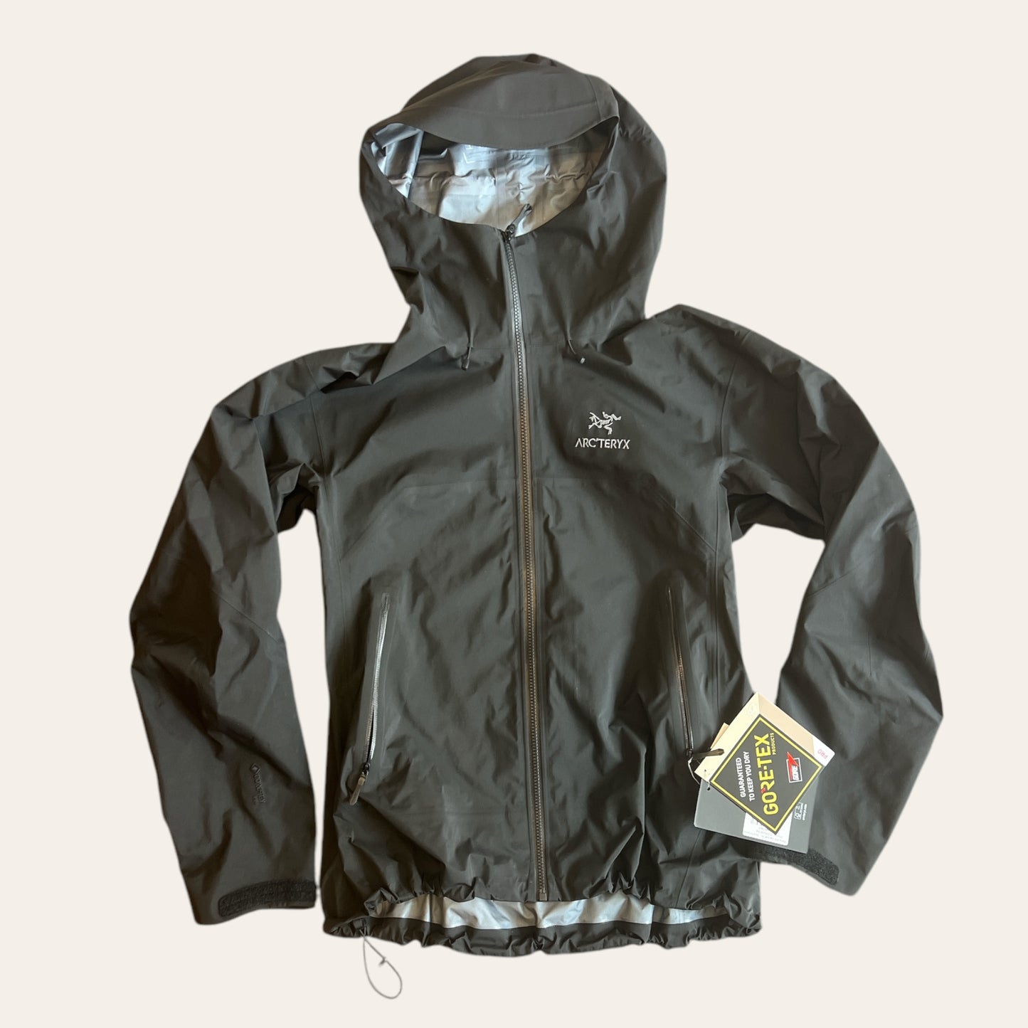 Brand New Arcteryx Beta AR Stormhood Black Womens Size L