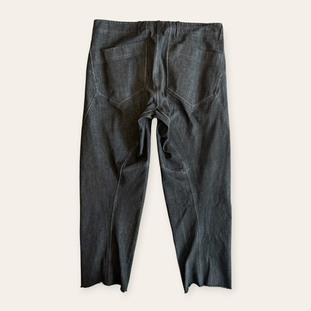 Arcteryx Veilance Cambre Pants Size 36