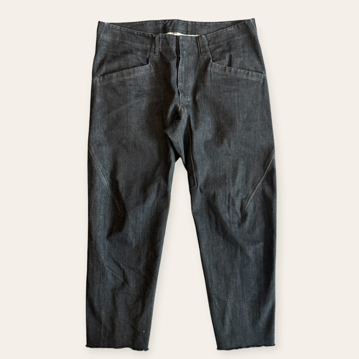 Arcteryx Veilance Cambre Pants Size 36