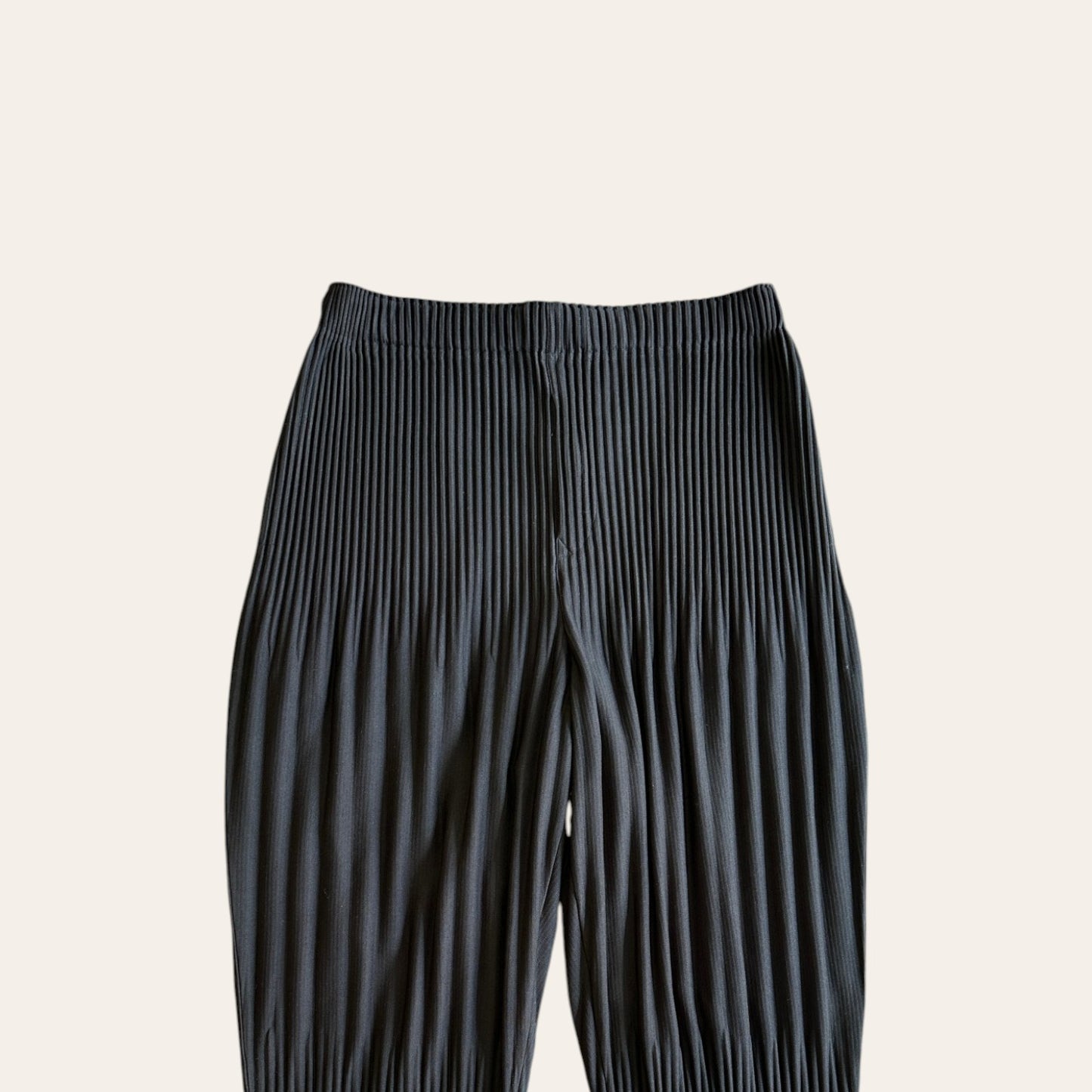 Issey Miyake Pleats Pants Size 3