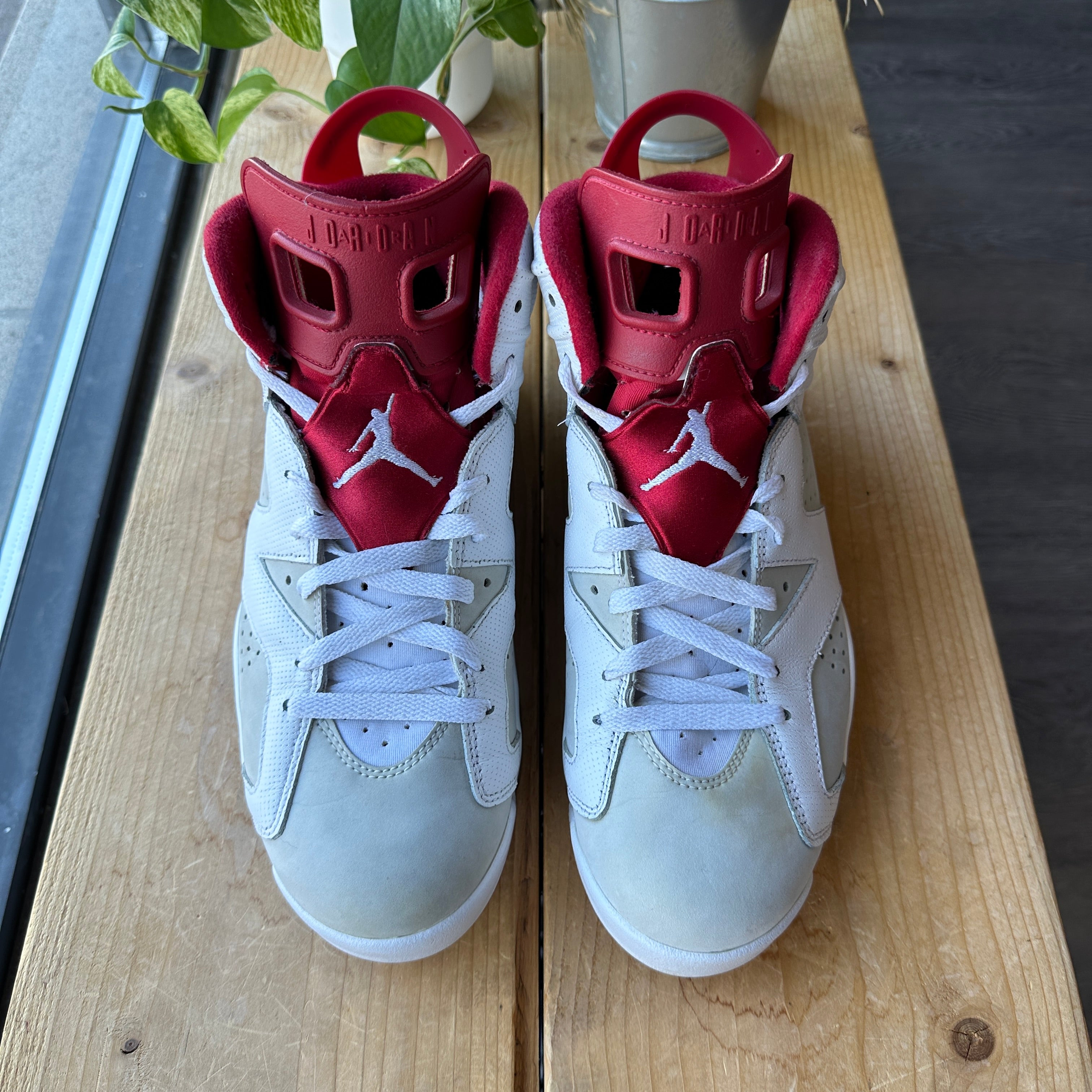 Air Jordan 6 "Alternate" Size 9