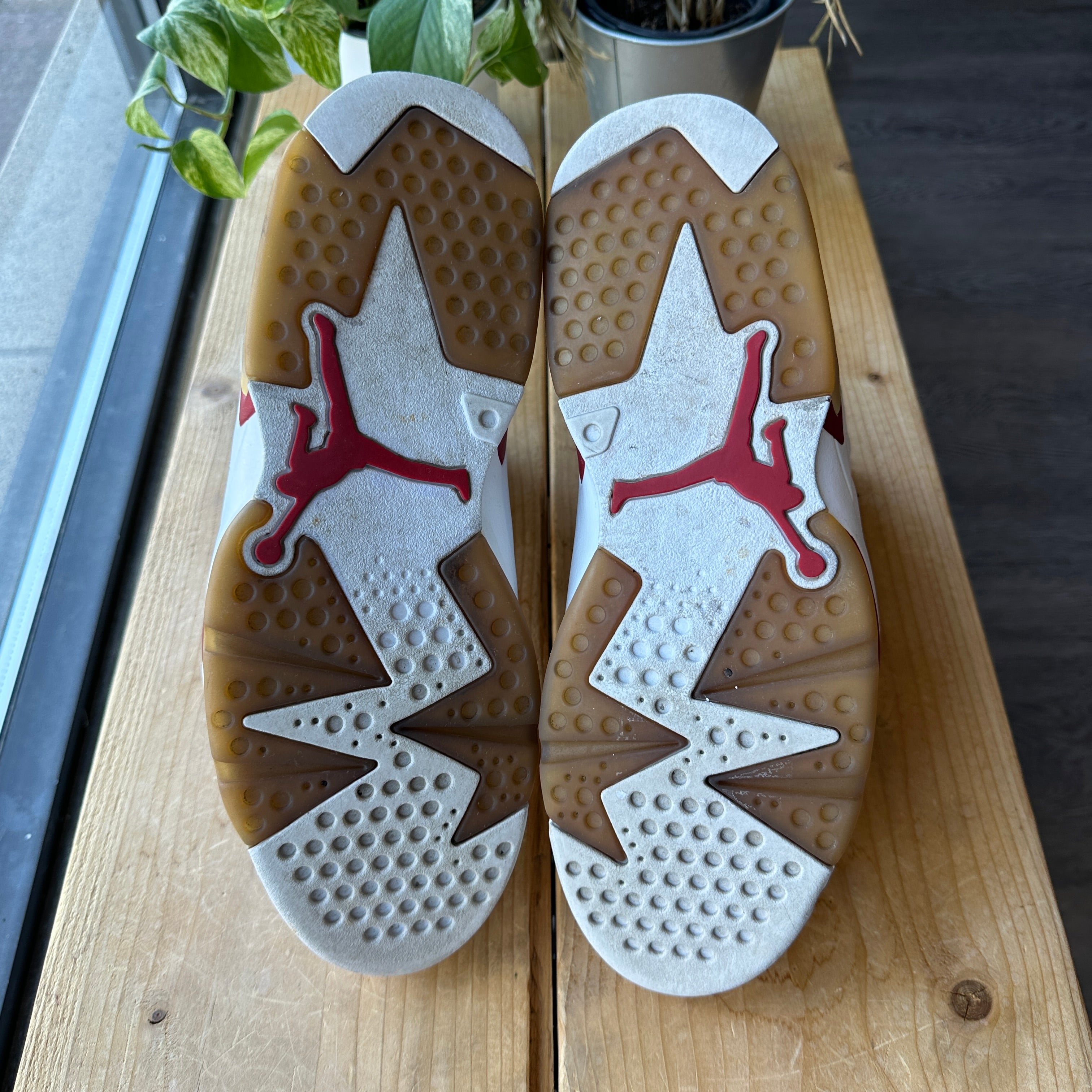 Air Jordan 6 "Alternate" Size 9