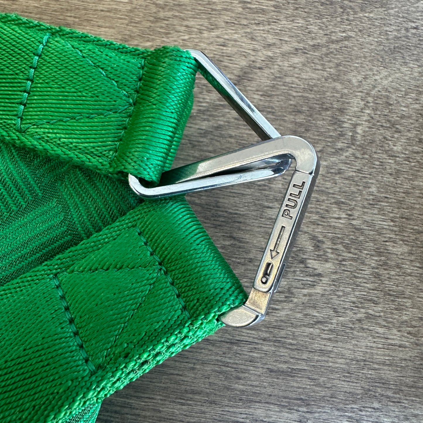 Bottega Veneta Parakeet Wrist Pouch
