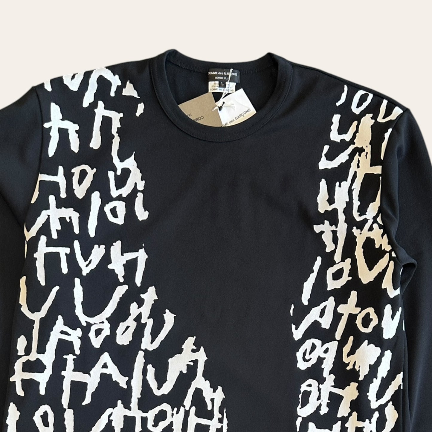Brand New CDG Homme Plus LS Size L