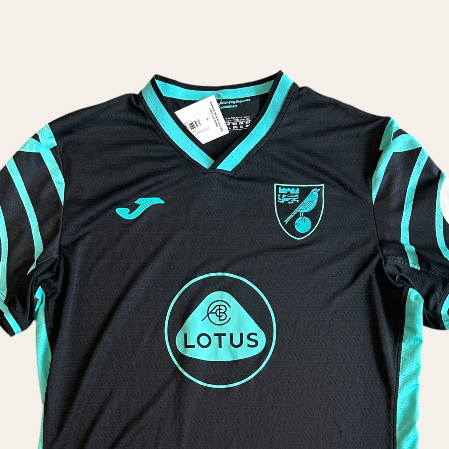 21/22 Norwich Away Kit Size XL