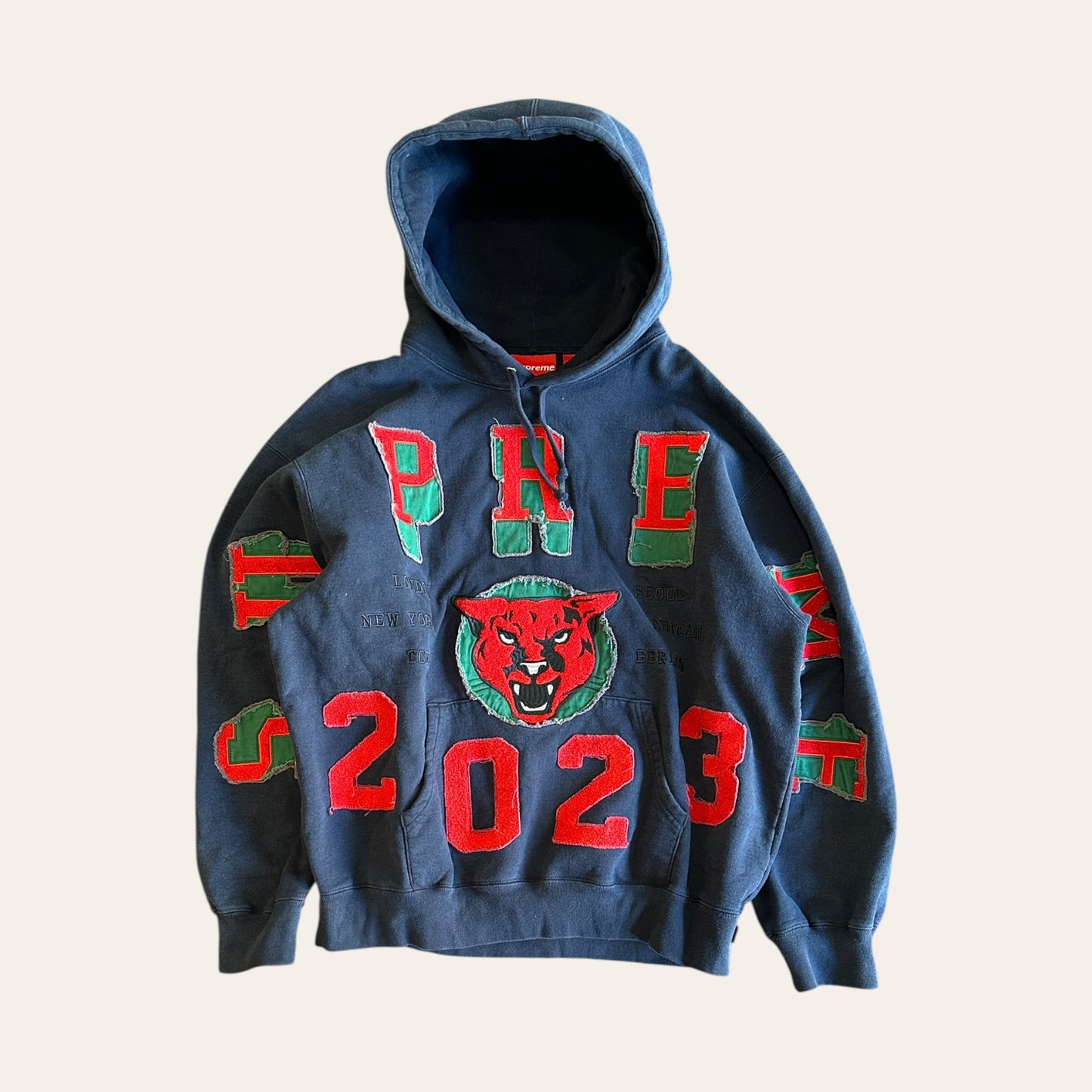 Supreme Washed Panther Hoodie Size L