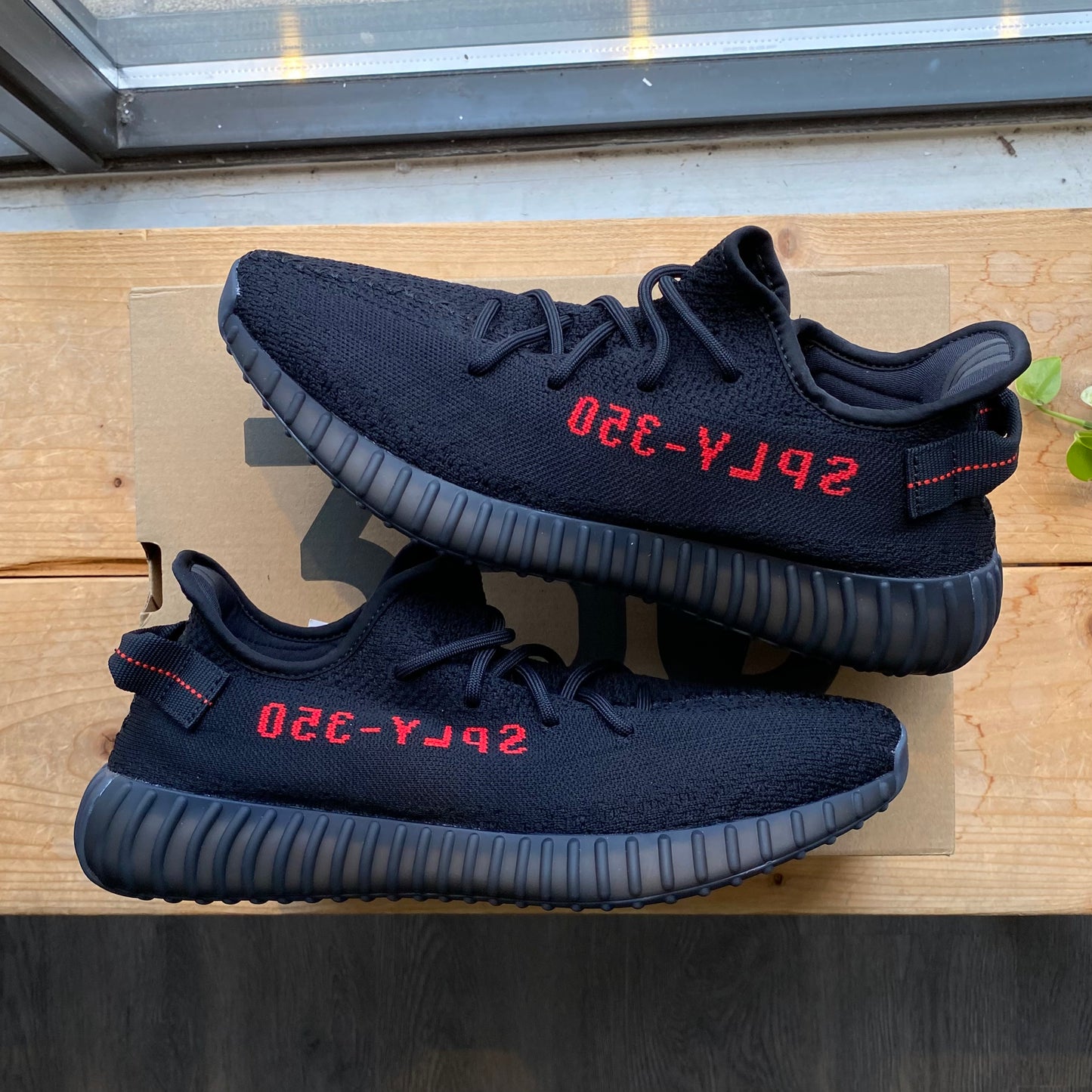 Brand New Adidas Yeezy 350 'Black/Red'