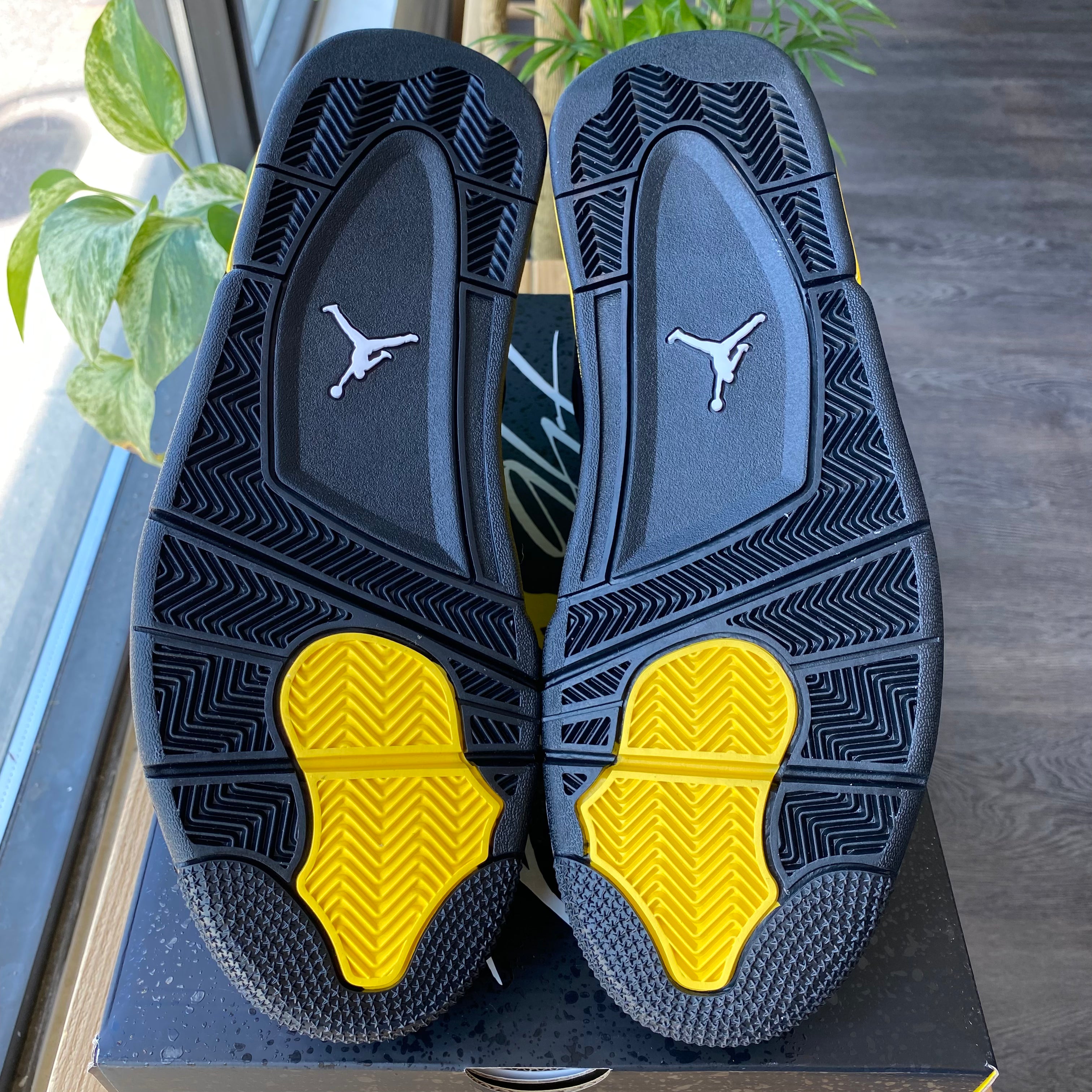 Brand New Air Jordan 4 'Thunder'