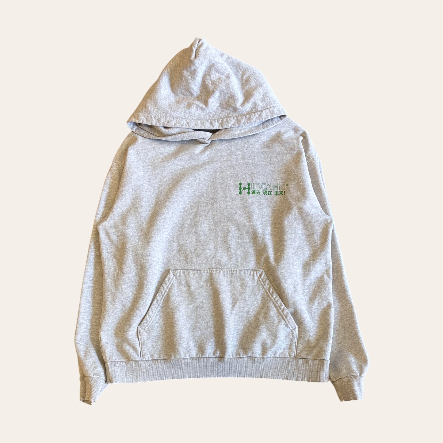 Hidden NY Hoodie Grey Size L