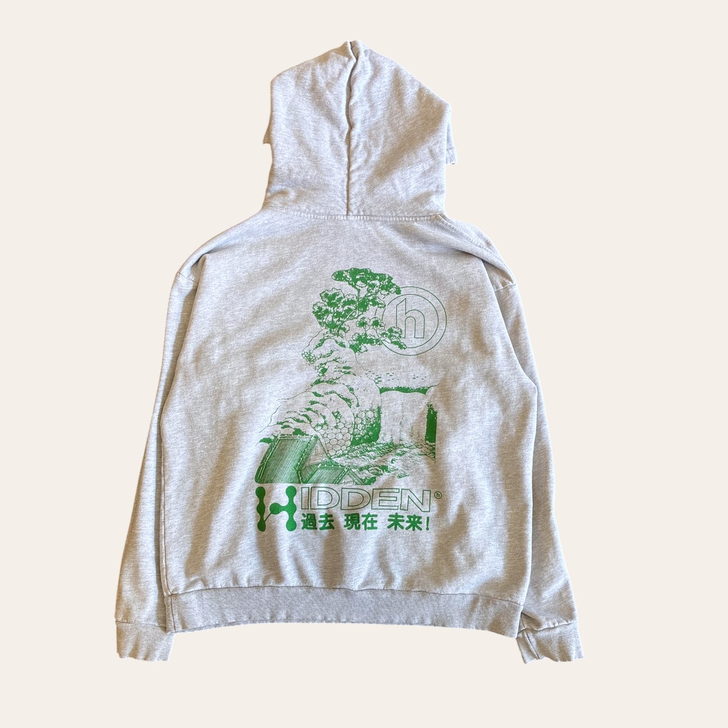 Hidden NY Hoodie Grey Size L