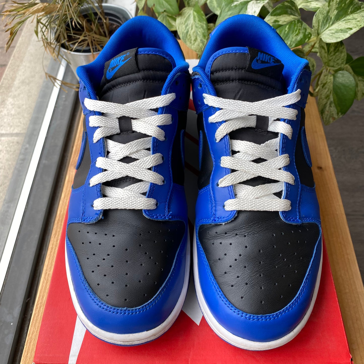 Nike Dunk Low "Cobalt" Size US 10