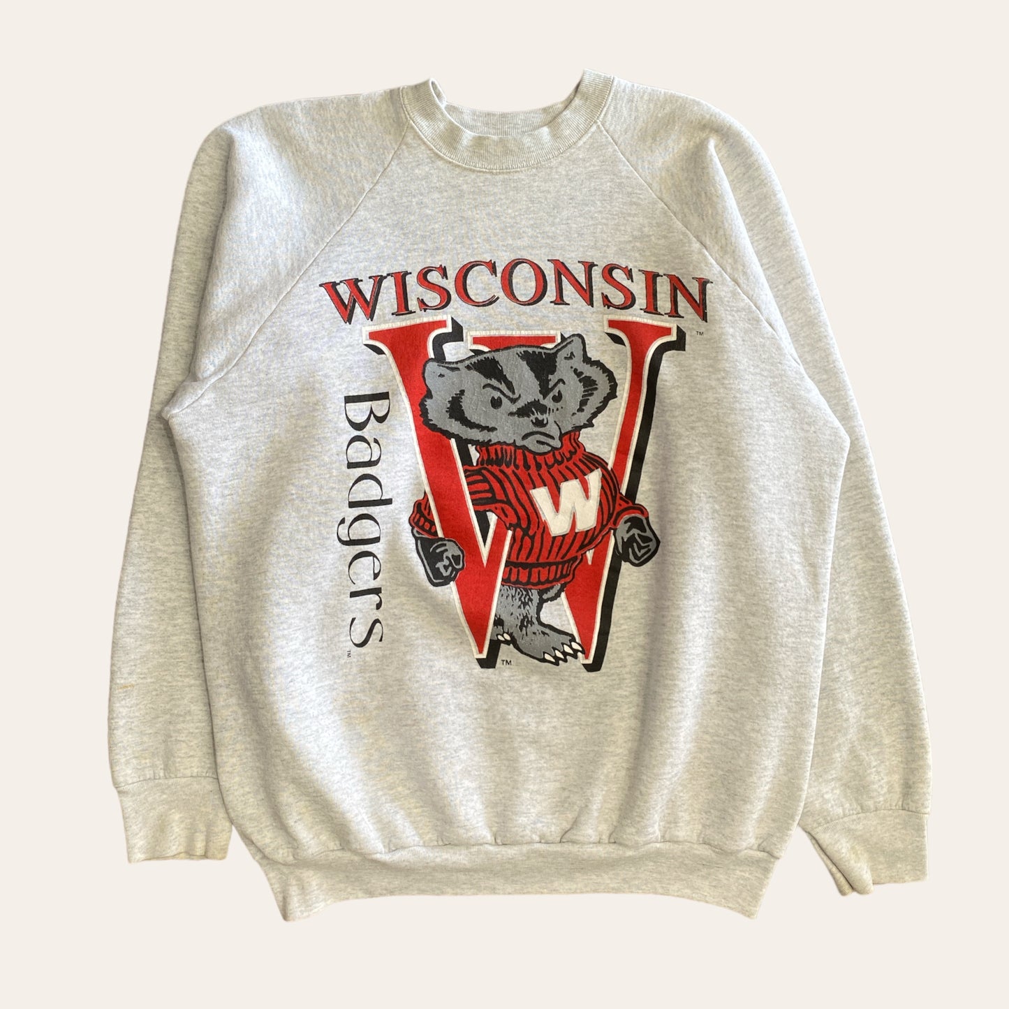 1999 Wisconsin Badgers Football Sweater Size L