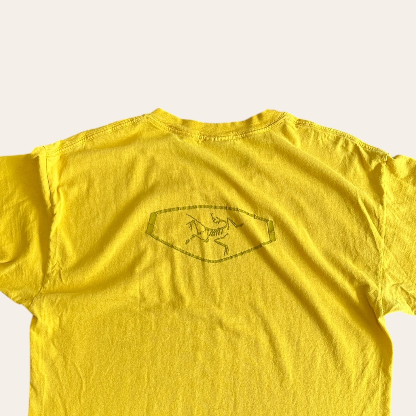 00s Arcteryx Tee Yellow Size L