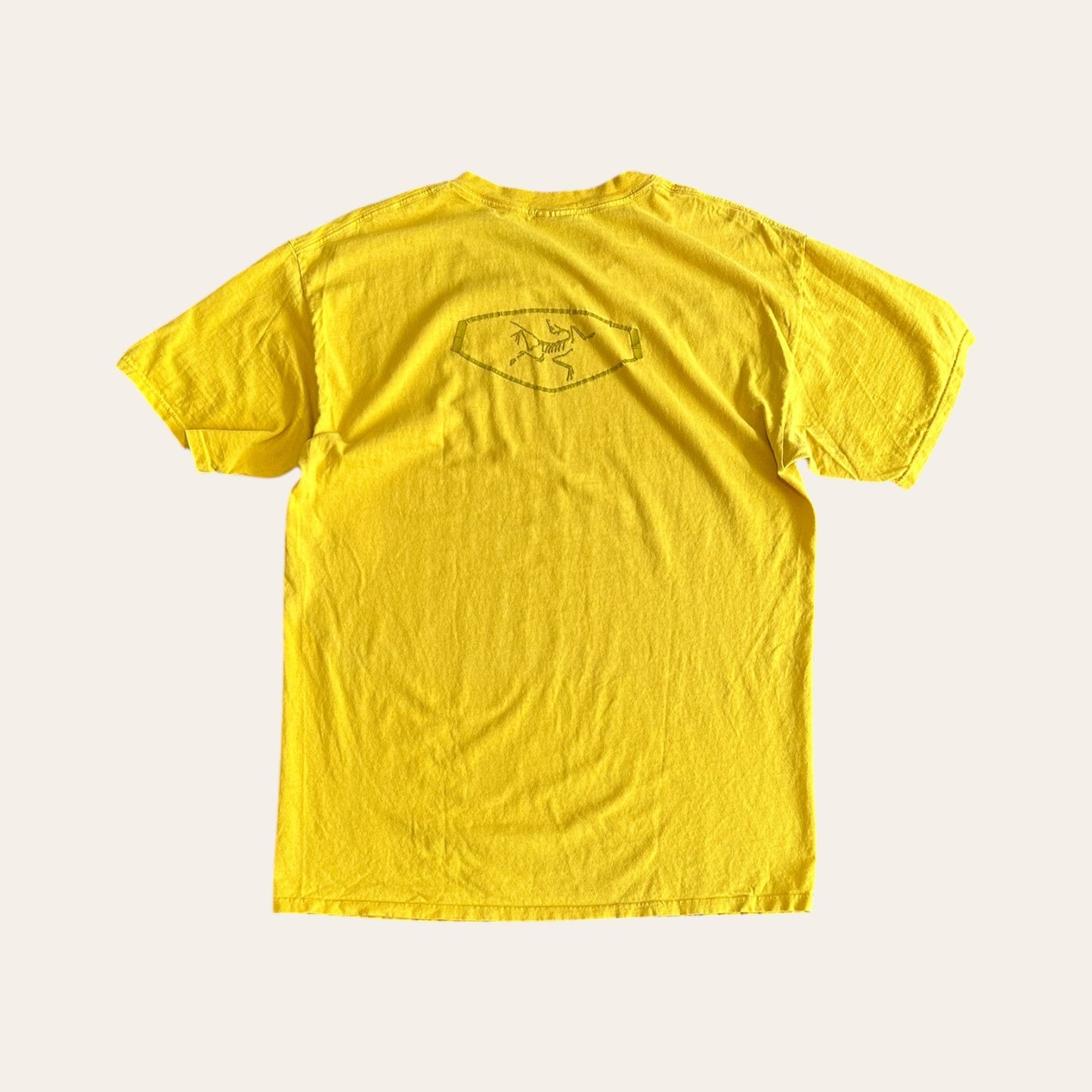 00s Arcteryx Tee Yellow Size L