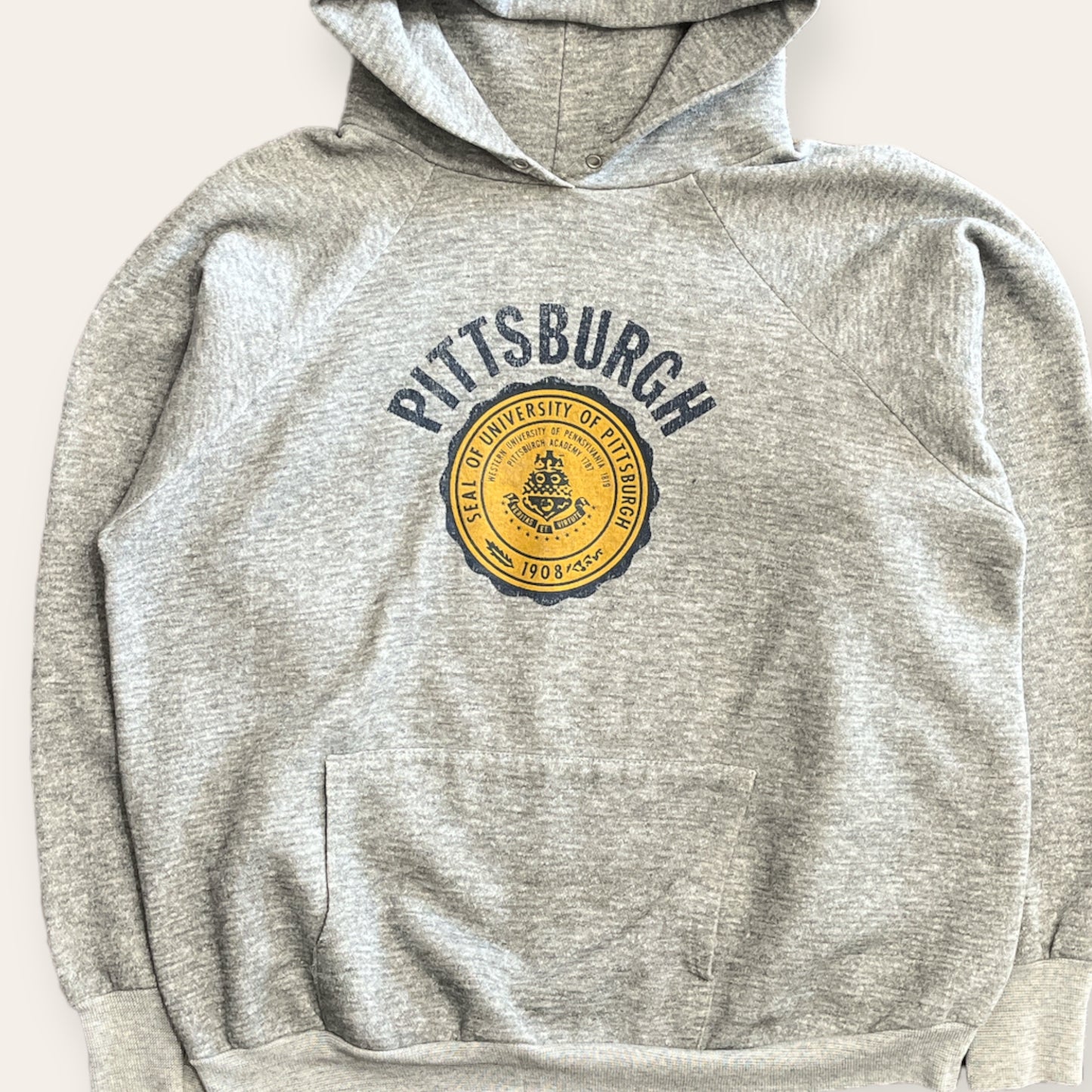 Vintage University of Pittsburgh Hoodie Size XL
