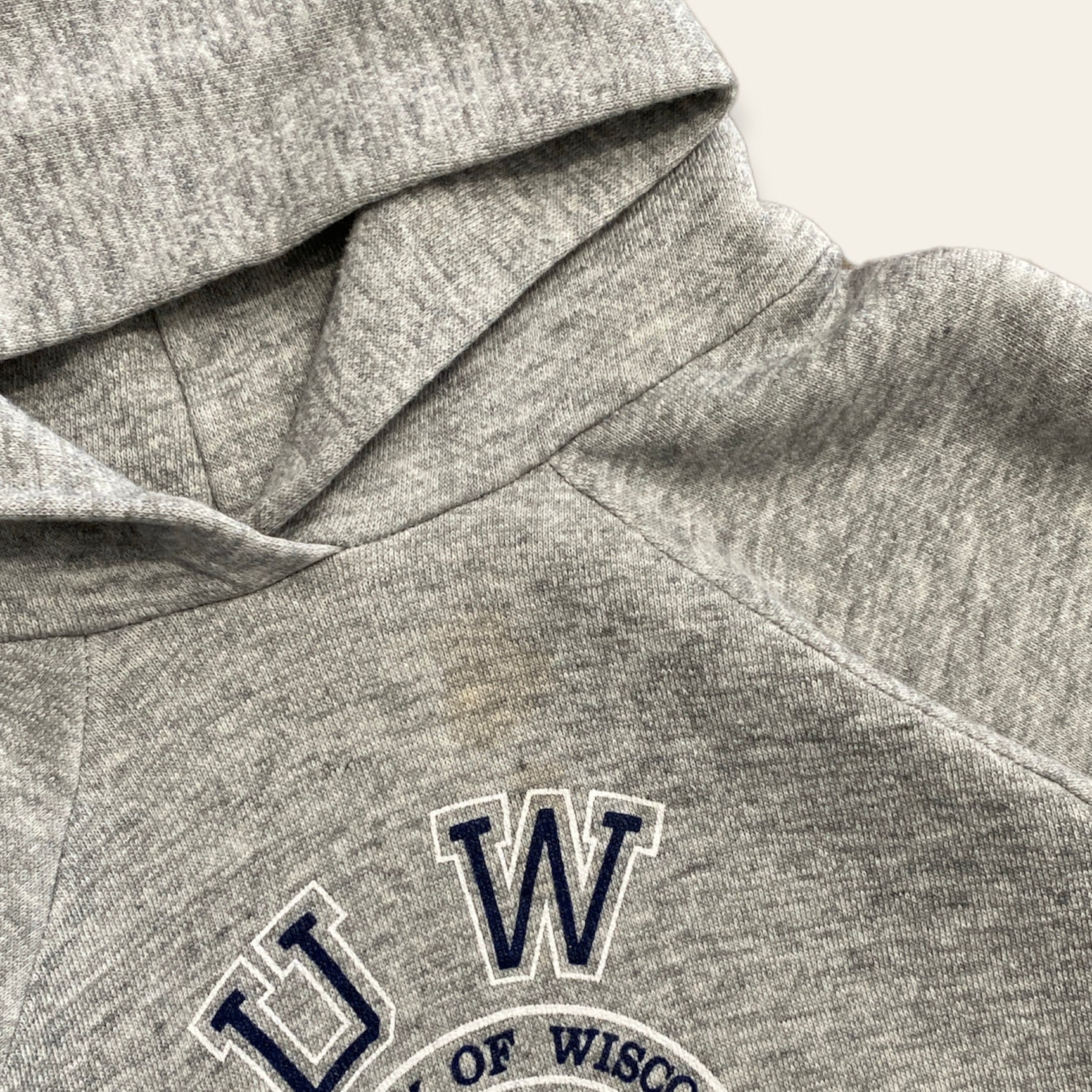 90s Champion University of Wisconsin Hoodie Size L