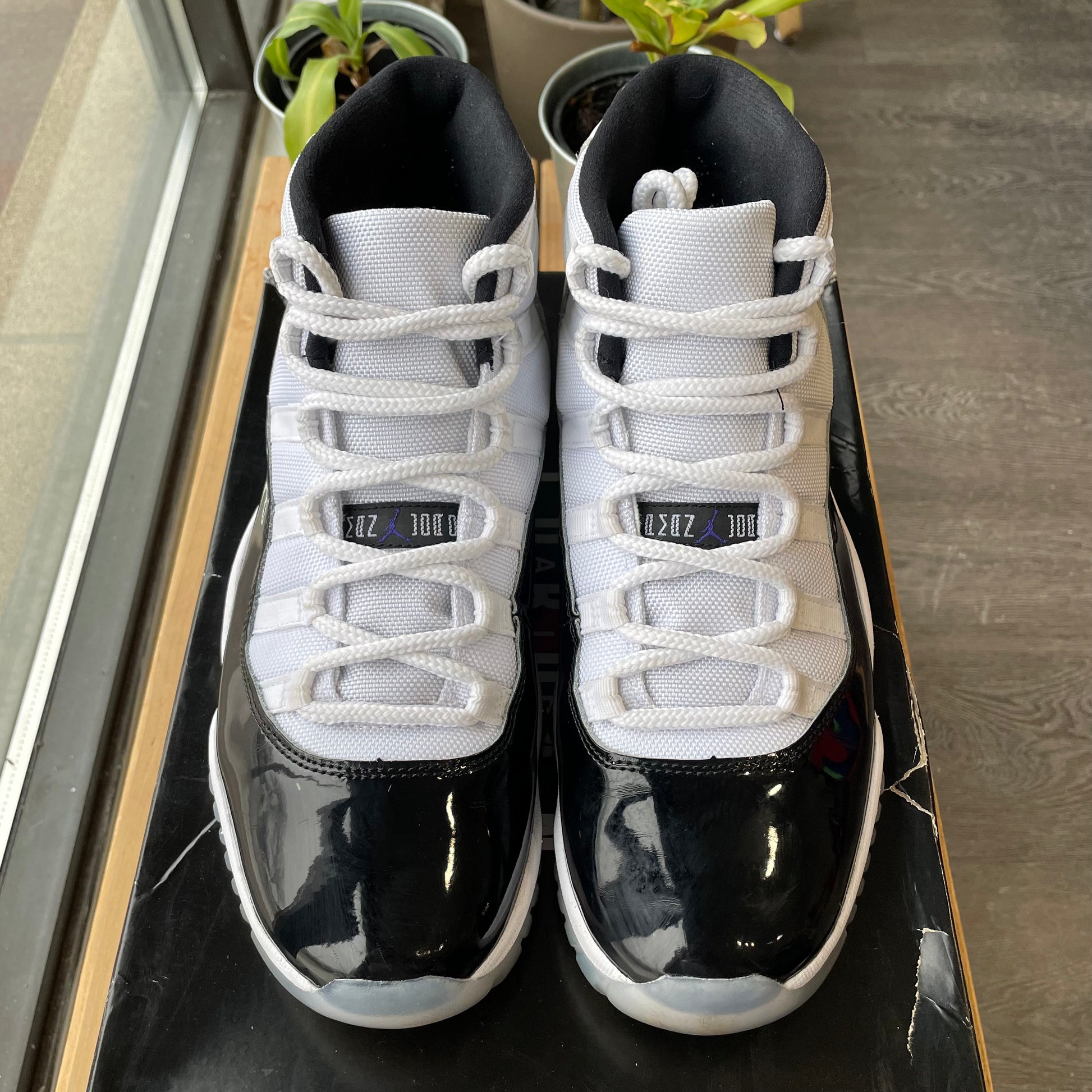 Jordan concord sales 11 9.5